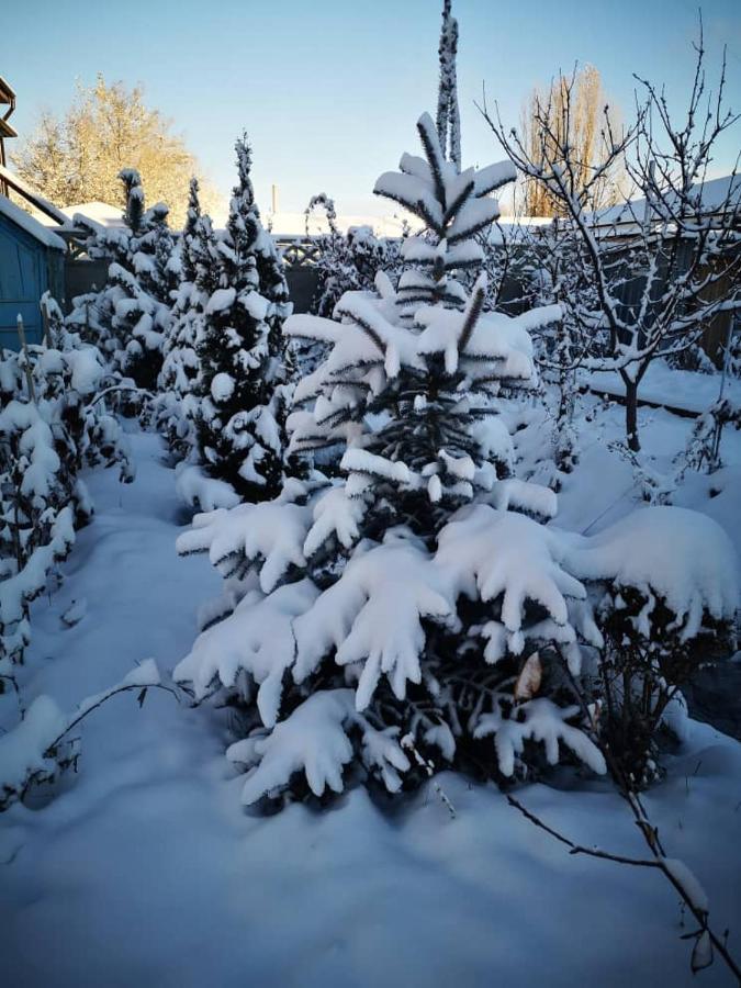 Загородный Коттедж Kek-Dzhar Esterno foto